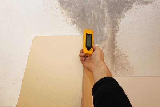 Best Airborne Mold Testing  in La Mesilla, NM