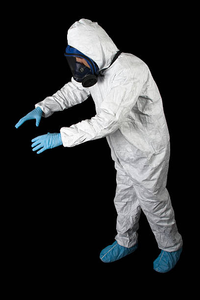 Best Black Mold Removal  in La Mesilla, NM
