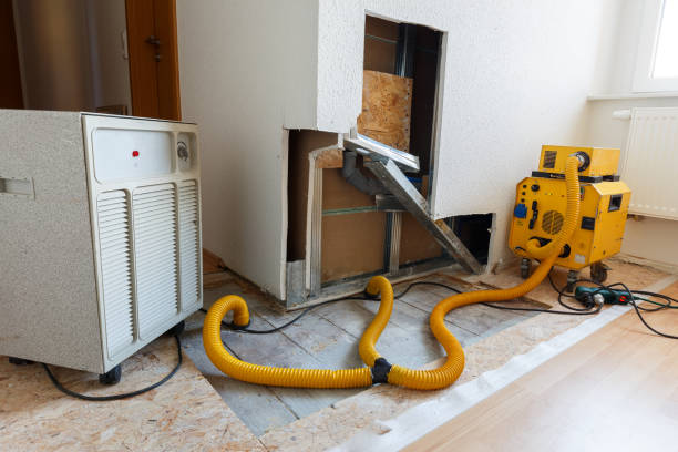 Best Residential Mold Inspection & Testing  in La Mesilla, NM